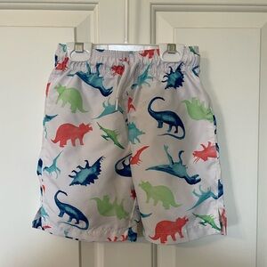 Dinosaur Adventure Kids Swim Trunks